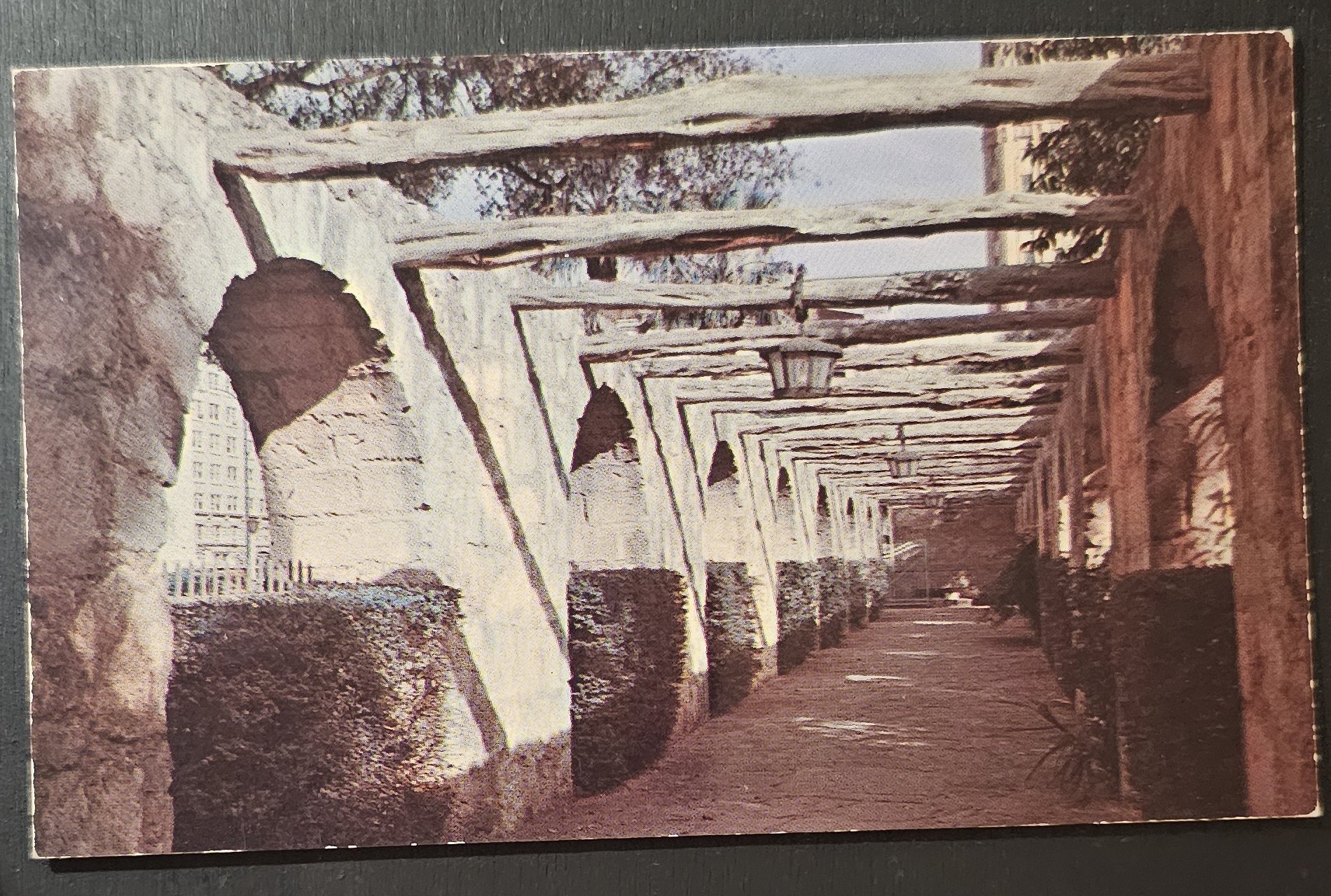 (image for) postcard USA - TX - Texas #0018